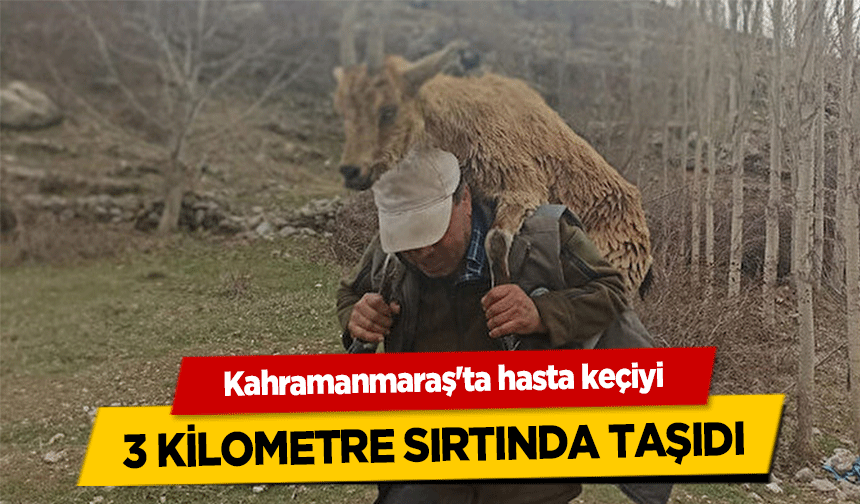 Kahramanmaraş'ta hasta keçiyi 3 kilometre sırtında taşıdı