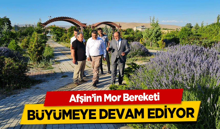 Afşin’in Mor Bereketi