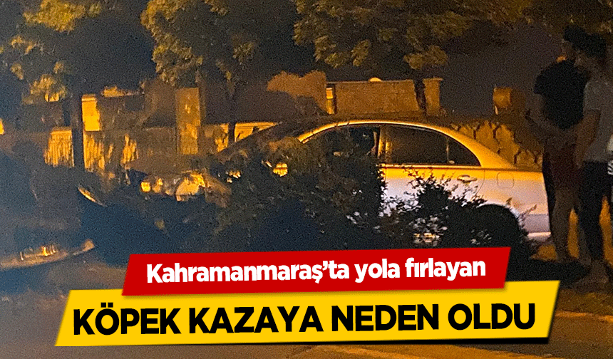 Kahramanmaraş’ta yola fırlayan köpek kazaya neden oldu