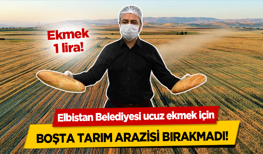 Elbistan Belediyesi ucuz ekmek için boşta tarım arazisi bırakmadı!