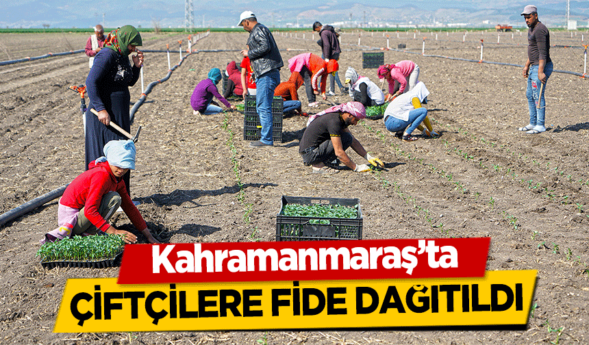 Kahramanmaraş’ta çiftçilere fide dağıtıldı