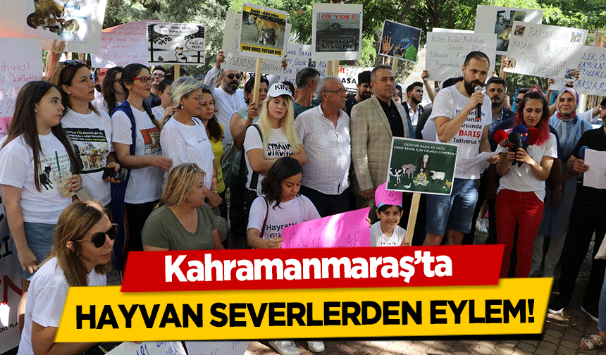 Kahramanmaraş’ta hayvan severlerden eylem!