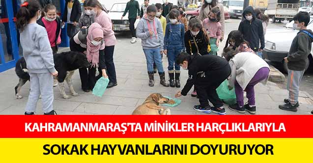 Kahramanmaraş'ta minikler harçlıklarıyla sokak hayvanlarını doyuruyor