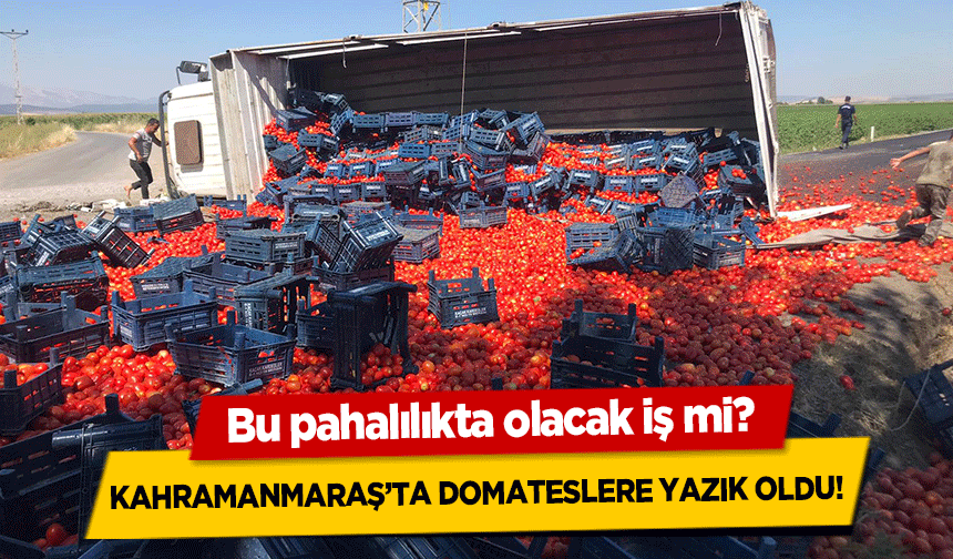 Bu pahalılıkta olacak iş mi? Kahramanmaraş’ta domateslere yazık oldu!