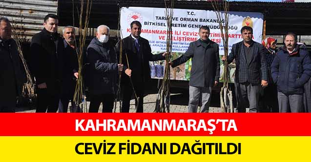Kahramanmaraş'ta 2 bin 100 ceviz fidanı dağıtıldı