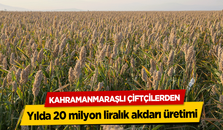 Kahramanmaraşlı Çiftçilerden yılda 20 milyon liralık akdarı üretimi