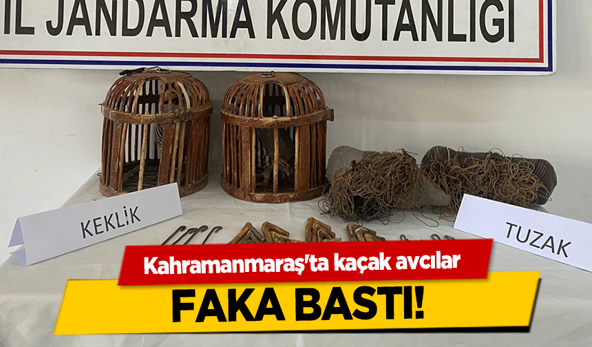 Kahramanmaraş'ta kaçak avcılar faka bastı!