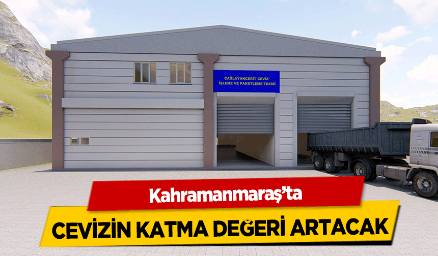 Kahramanmaraş’ta cevizin katma değeri artacak