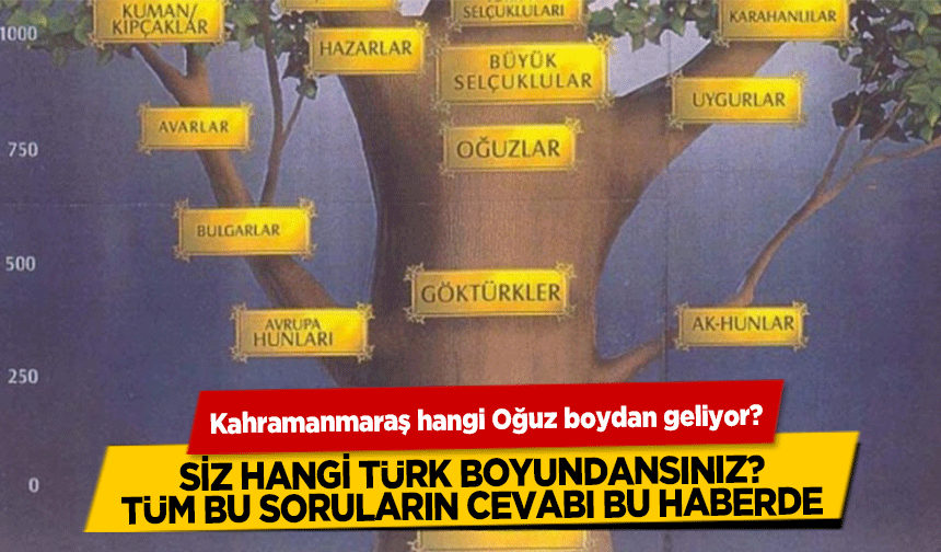 Kahramanmaraş hangi Oğuz boydan geliyor? Siz hangi Türk boyundansınız? Cevabı bu haberde