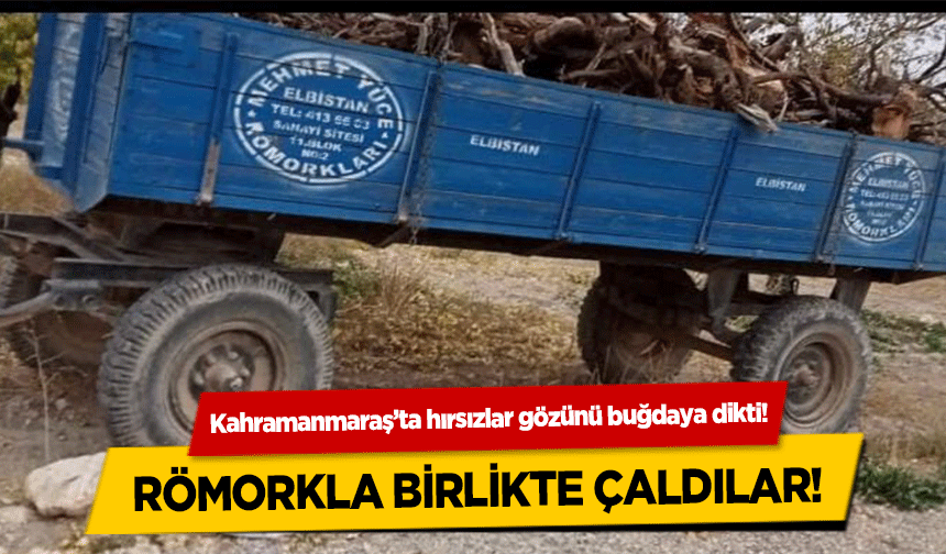 Kahramanmaraş’ta hırsızlar gözünü buğdaya dikti! Römorkla birlikte çaldılar!