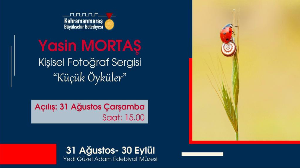 ‘Küçük Öyküler’ Sergisi Sanatseverlerle Buluşacak