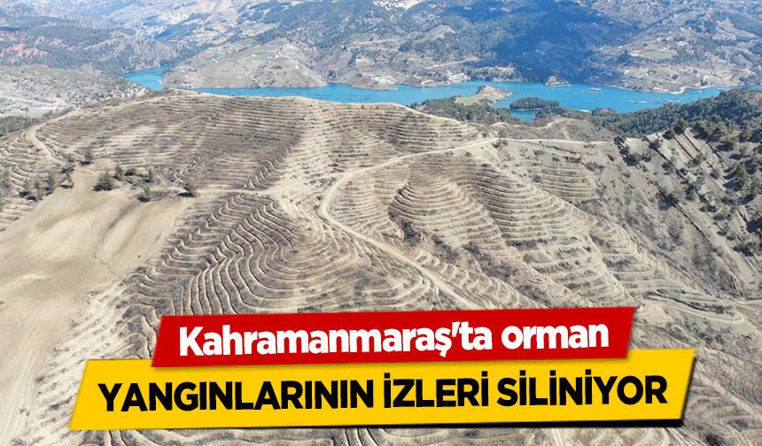 Kahramanmaraş'ta orman yangınlarının izleri siliniyor