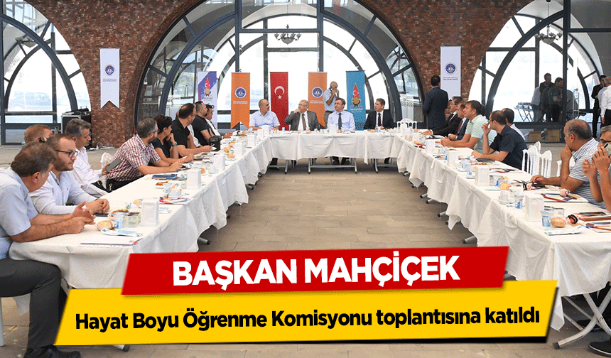 Başkan Mahçiçek, Hayat Boyu Öğrenme Komisyonu toplantısına katıldı