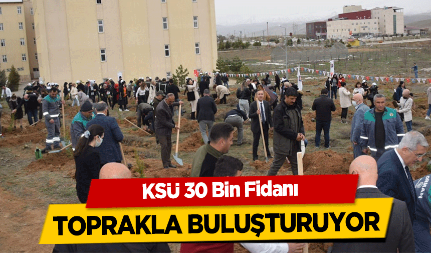 KSÜ 30 Bin Fidanı toprakla buluşturuyor