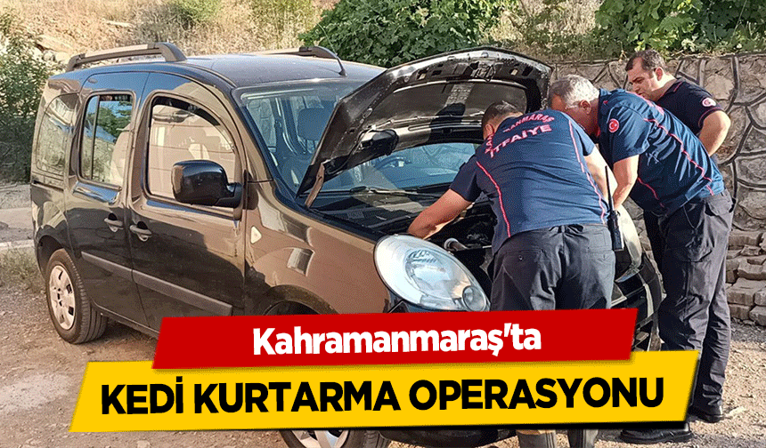 Kahramanmaraş'ta kedi kurtarma operasyonu