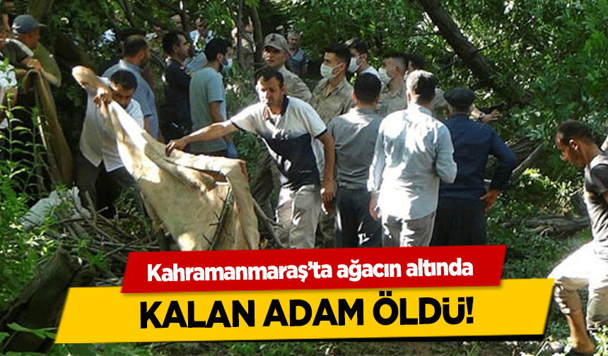 Kahramanmaraş’ta ağacın altında kalan adam öldü!
