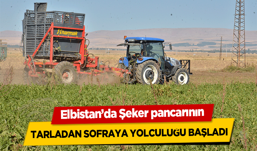 Elbistan’da Şeker pancarının tarladan sofraya yolculuğu başladı