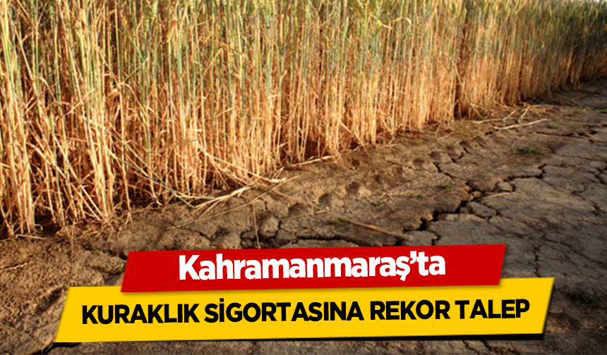 Kahramanmaraş’ta kuraklık sigortasına rekor talep