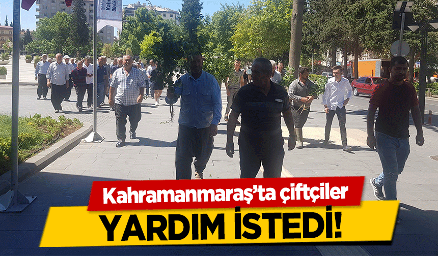 Kahramanmaraş’ta çiftçiler yardım istedi!