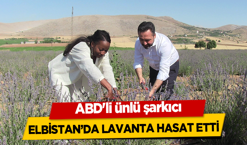 ABD'li ünlü şarkıcı Elbistan’da lavanta hasat etti