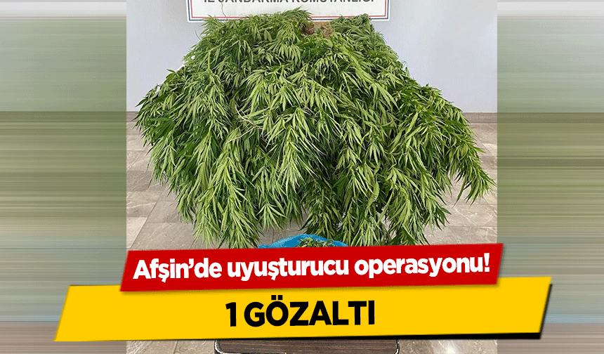 Afşin’de uyuşturucu operasyonu! 1 Gözaltı
