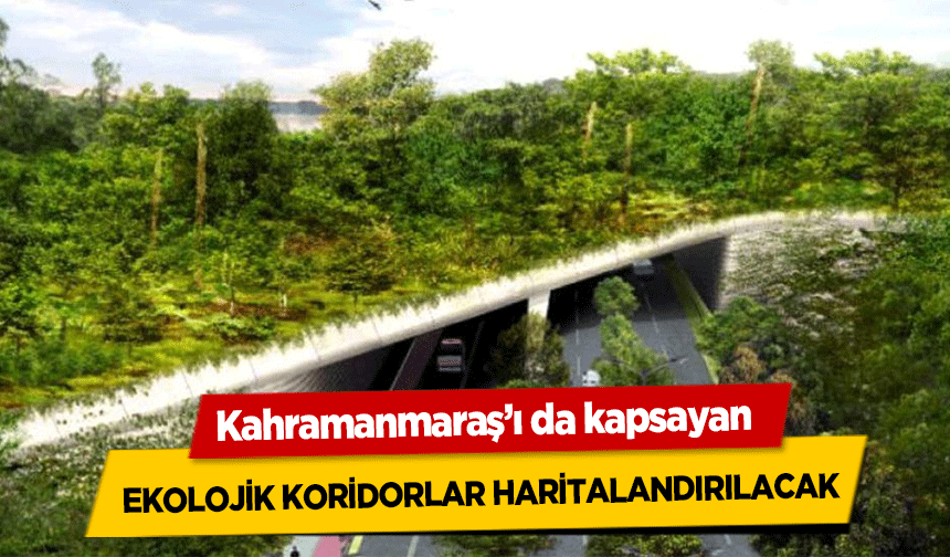 Kahramanmaraş’ı da kapsayan ekolojik koridorlar haritalandırılacak