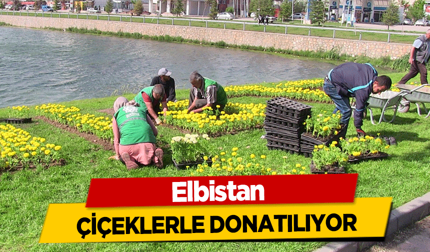 Elbistan çiçeklerle donatılıyor