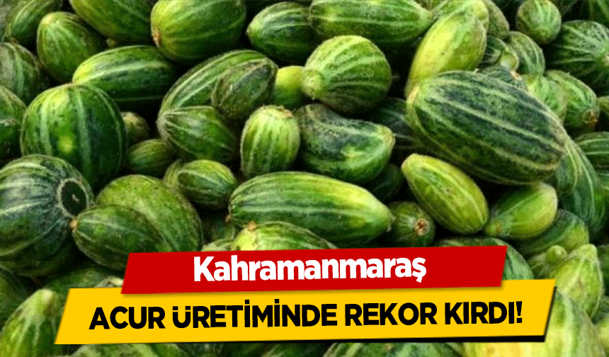 Kahramanmaraş acur üretiminde rekor kırdı!