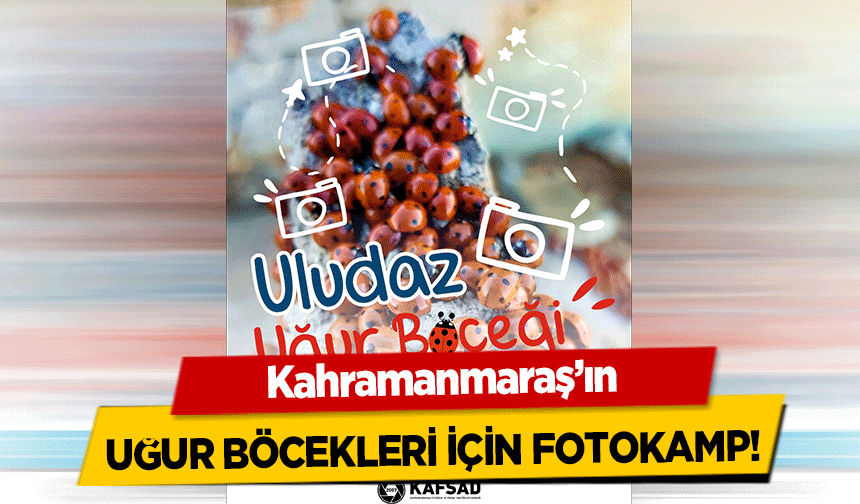 Kahramanmaraş’ın uğur böcekleri için fotokamp!