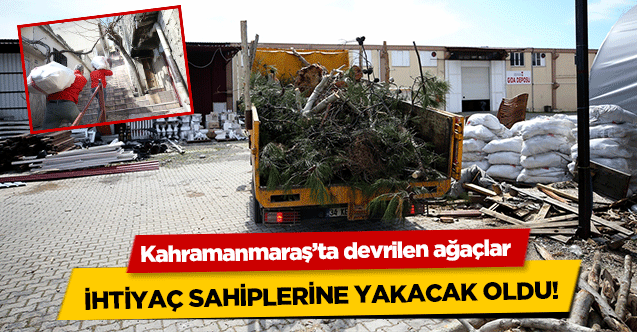 Kahramanmaraş’ta devrilen ağaçlar ihtiyaç sahiplerine yakacak oldu!