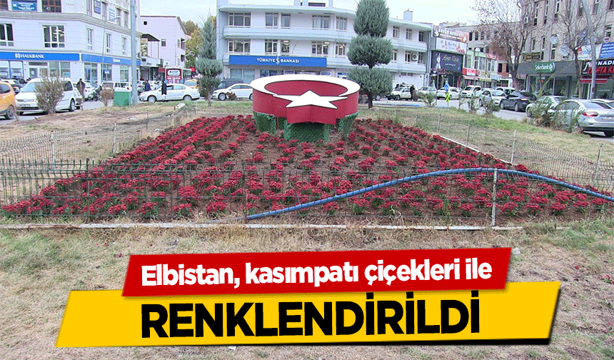 Elbistan, kasımpatı çiçekleri ile renklendirildi