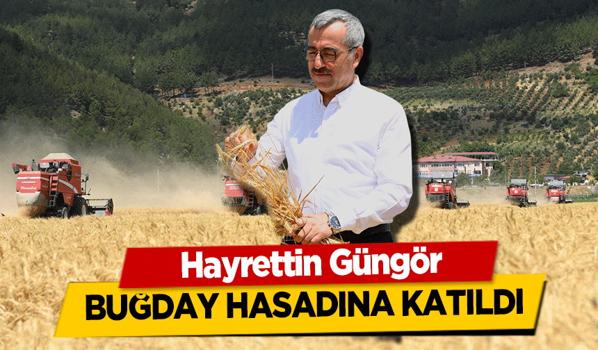 Hayrettin Güngör buğday hasadına katıldı