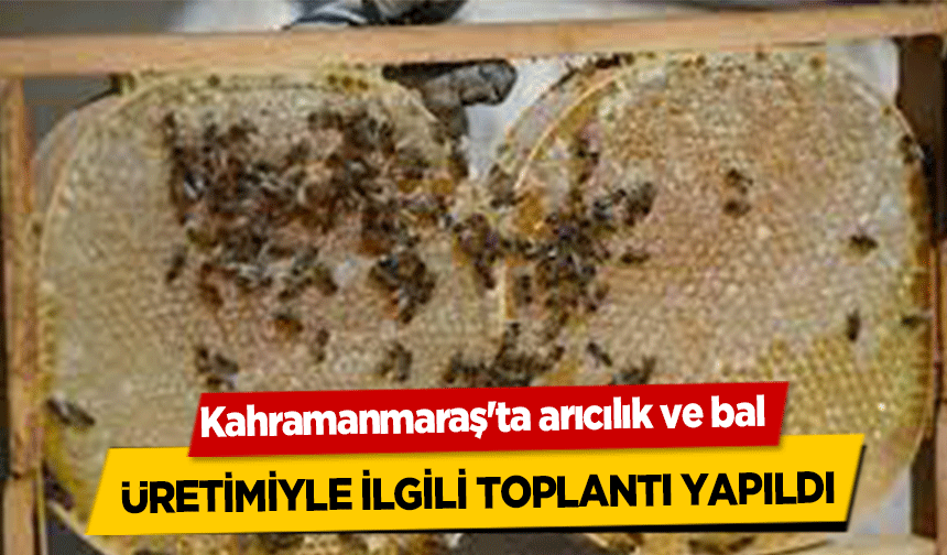 Kahramanmaraş'ta arıcılık ve bal üretimiyle ilgili toplantı yapıldı
