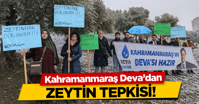 Kahramanmaraş Deva’dan zeytinlik alan tepkisi