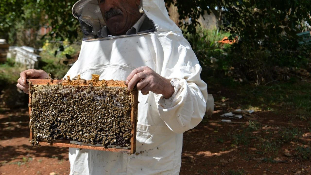 Kahramanmaraş Arıcılarına Destek Müjdesi: Üyelere 140 TL, Üyelere 100 TL