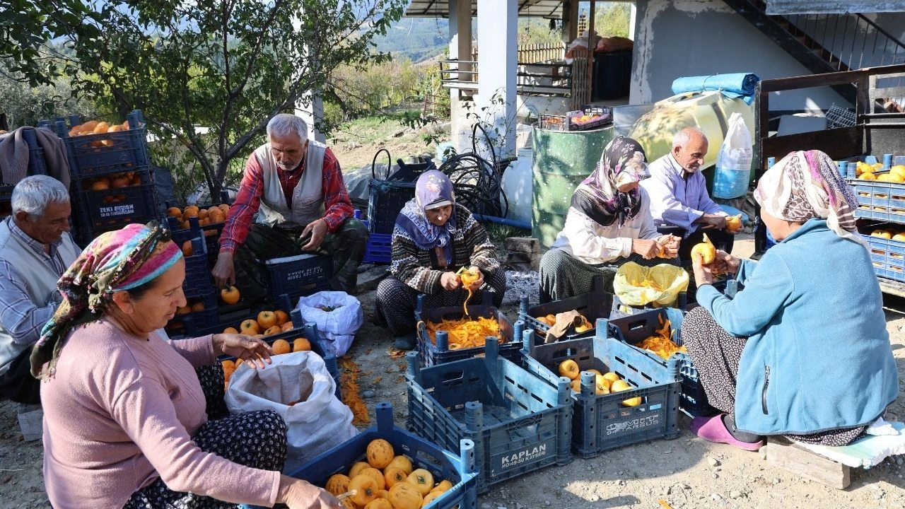 Adana Köyü Hurmayla Şenlendi: Herkes İşin İçinde
