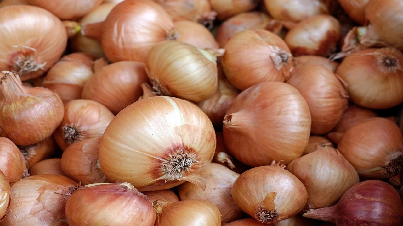 Uzmanlar Açıkladı: Soğan ve Patates Neden Asla Yan Yana Durmamalı?