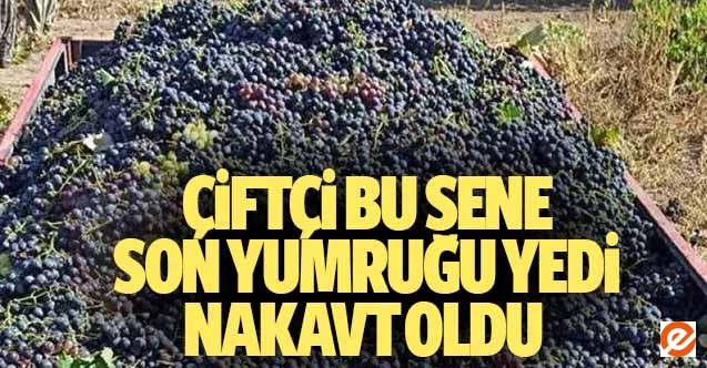 Çiftçi bu sene son yumruğu yedi nakavt oldu