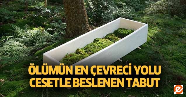 Ölümün en çevreci yolu cesetle beslenen tabut