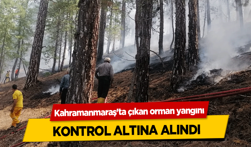 Kahramanmaraş'ta çıkan orman yangını kontrol altına alındı