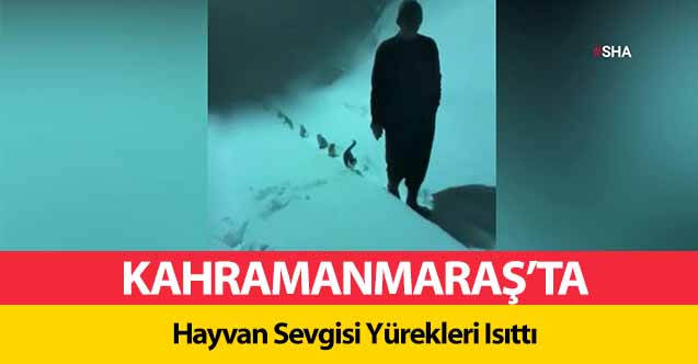 Kahramanmaraş’ta Hayvan Sevgisi Yürekleri Isıttı