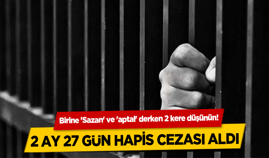Birine 'Sazan' ve 'aptal' derken 2 kere düşünün! 2 ay 27 gün hapis cezası aldı
