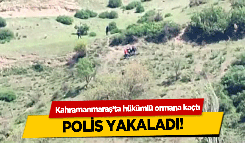 Kahramanmaraş’ta hükümlü ormana kaçtı, polis yakaladı!