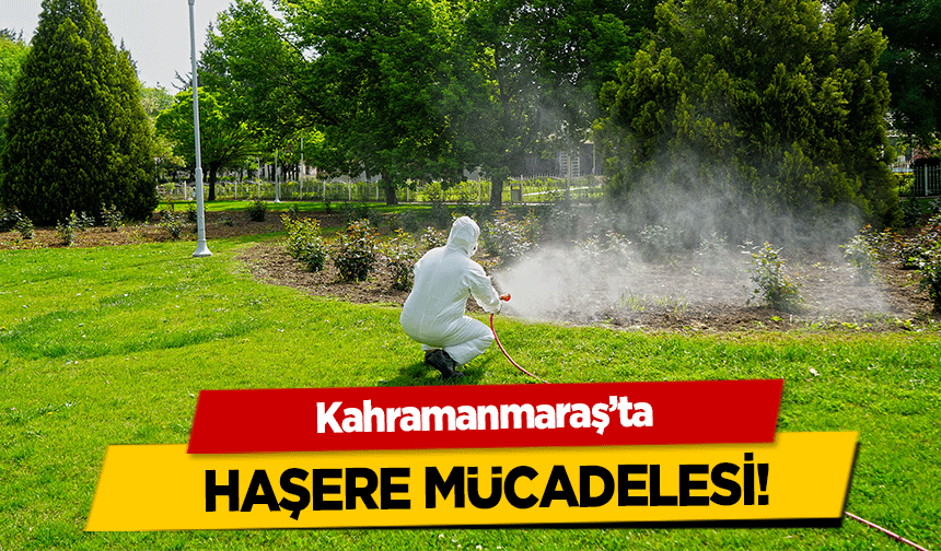 Kahramanmaraş’ta haşere mücadelesi!