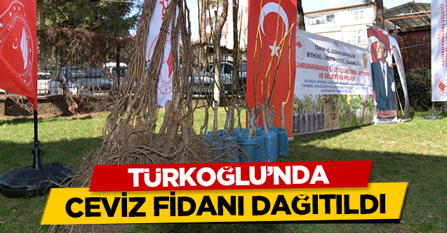 Türkoğlu’nda ceviz fidanı dağıtıldı