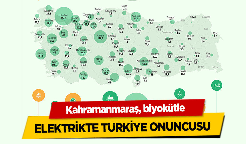 Kahramanmaraş, biyokütle elektrikte Türkiye onuncusu