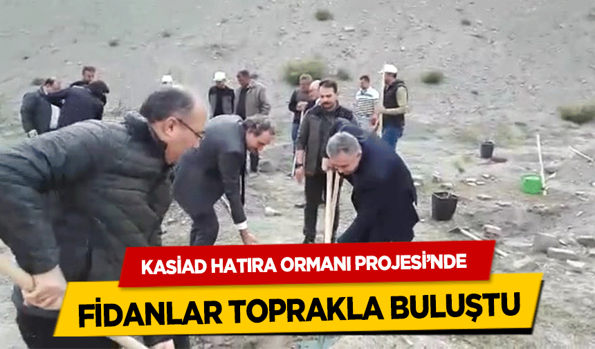 KASİAD hatıra ormanı projesi’nde fidanlar toprakla buluştu
