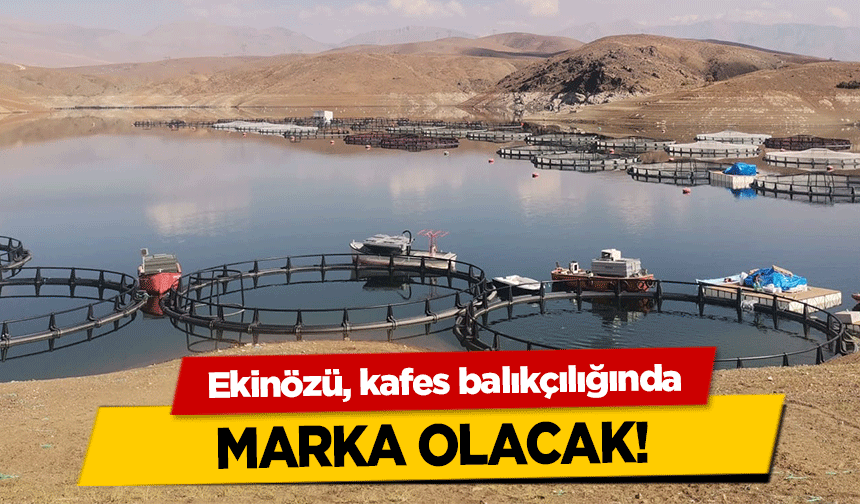 Ekinözü, kafes balıkçılığında marka olacak!