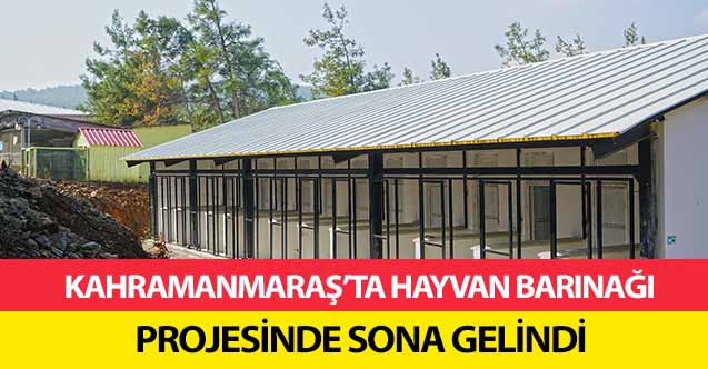 Kahramanmaraş’ta hayvan barınağı projesinde sona gelindi