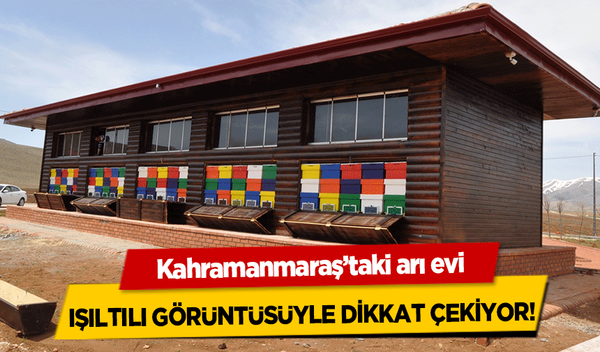 Kahramanmaraş’taki arı evi ışıltılı görüntüsüyle dikkat çekiyor!